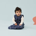 a333f083ebc1eb5a23f6bae9f6a08186