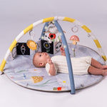 76567fe94e6a91bcf63129d337b07a61