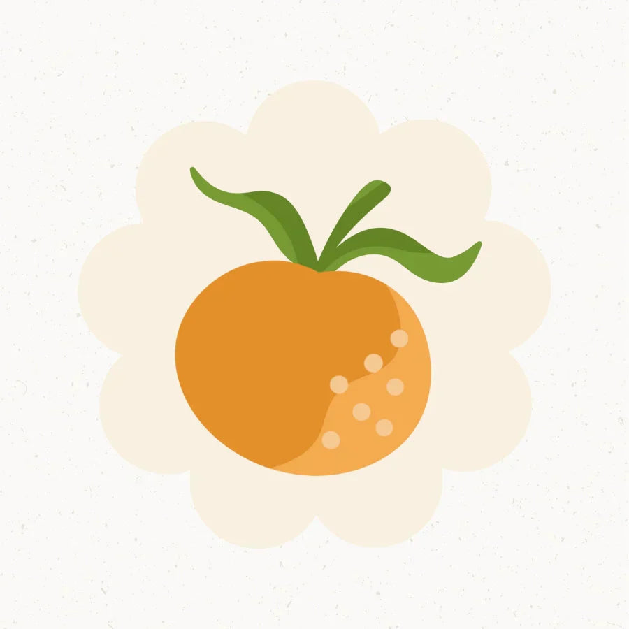 13. Schwangerschaftswoche