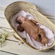 Noppies Monrovia Café au Lait Baby-Overall