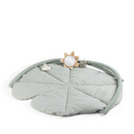 169afc42537b2fca4fd73bdce250bc08