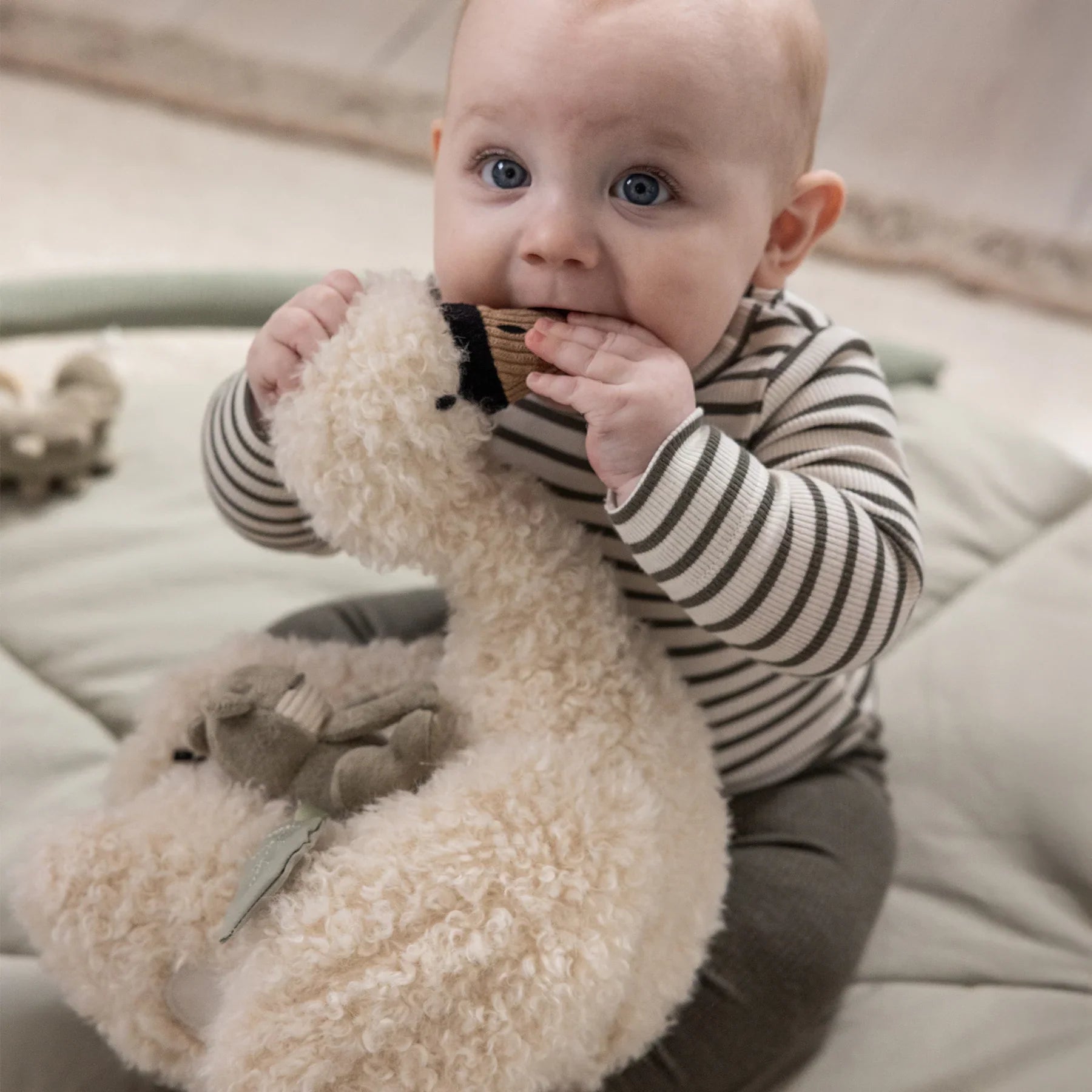 dd906455a3de820b149dc1b4f698a999