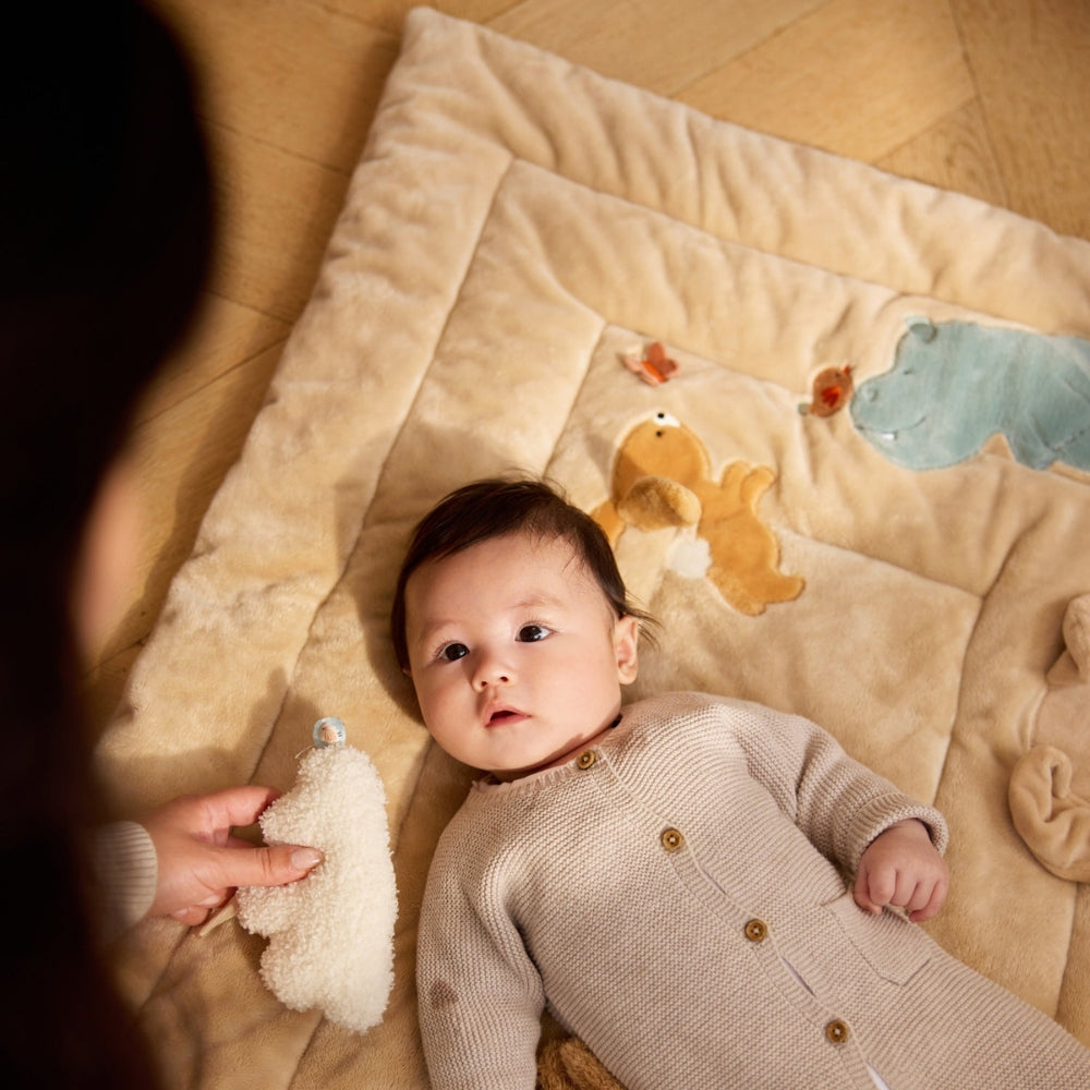 Diabild