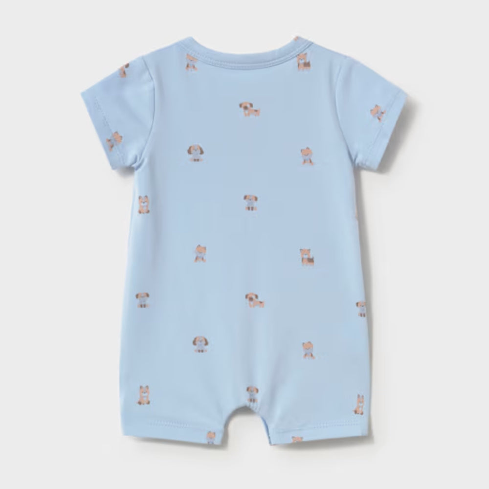 613a1173a3eeb5f1cabf73c4a285234b