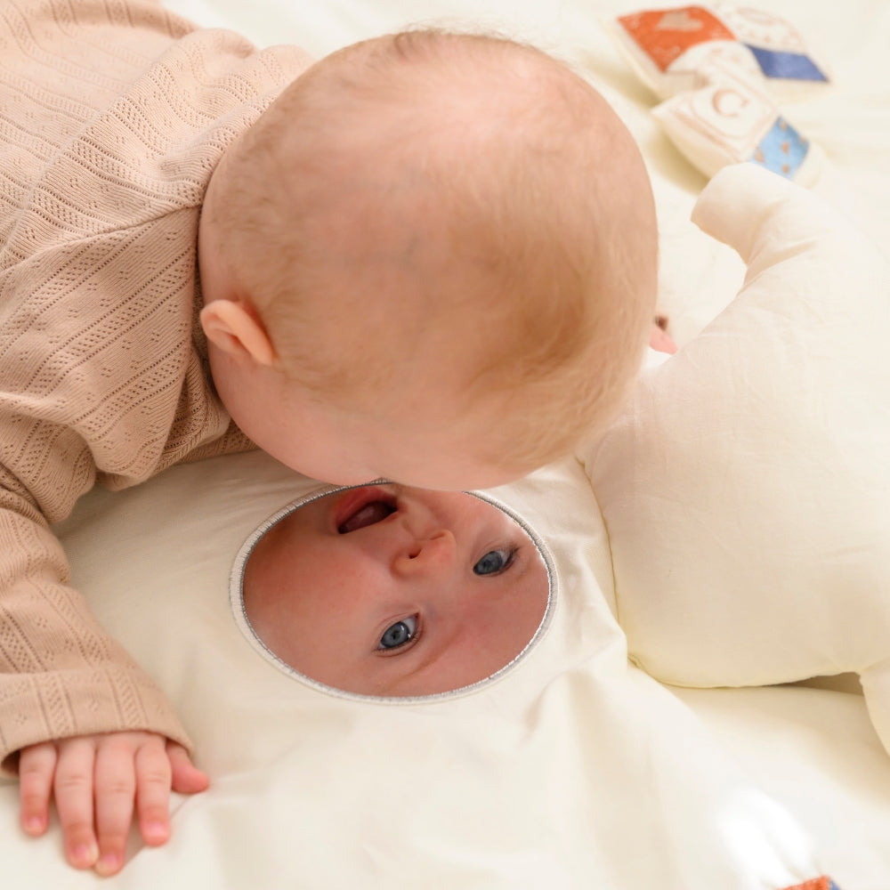 55e0231130bdab6f1394732648870e66