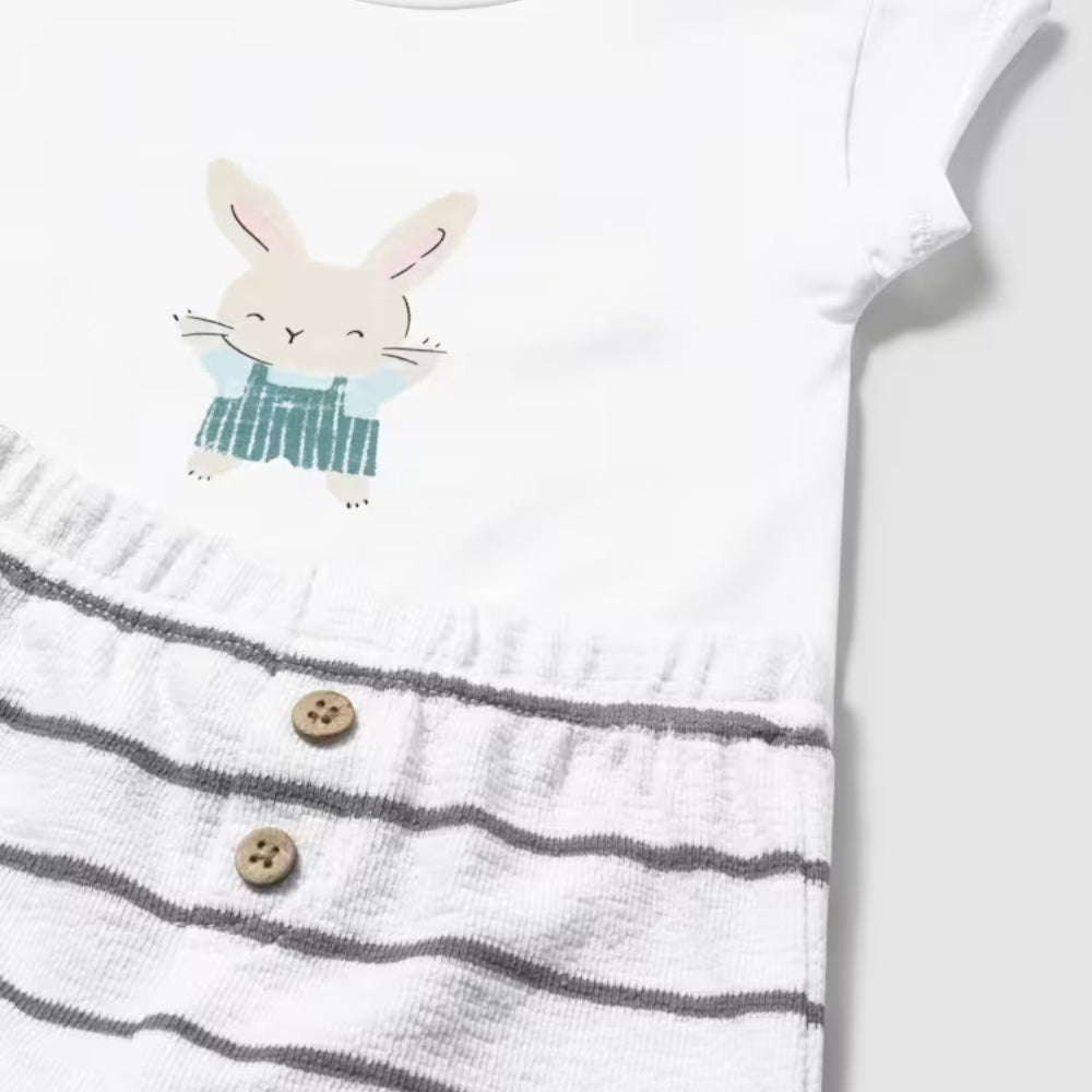 c66e43ca24164c1a247e3cdc4a2b75f7