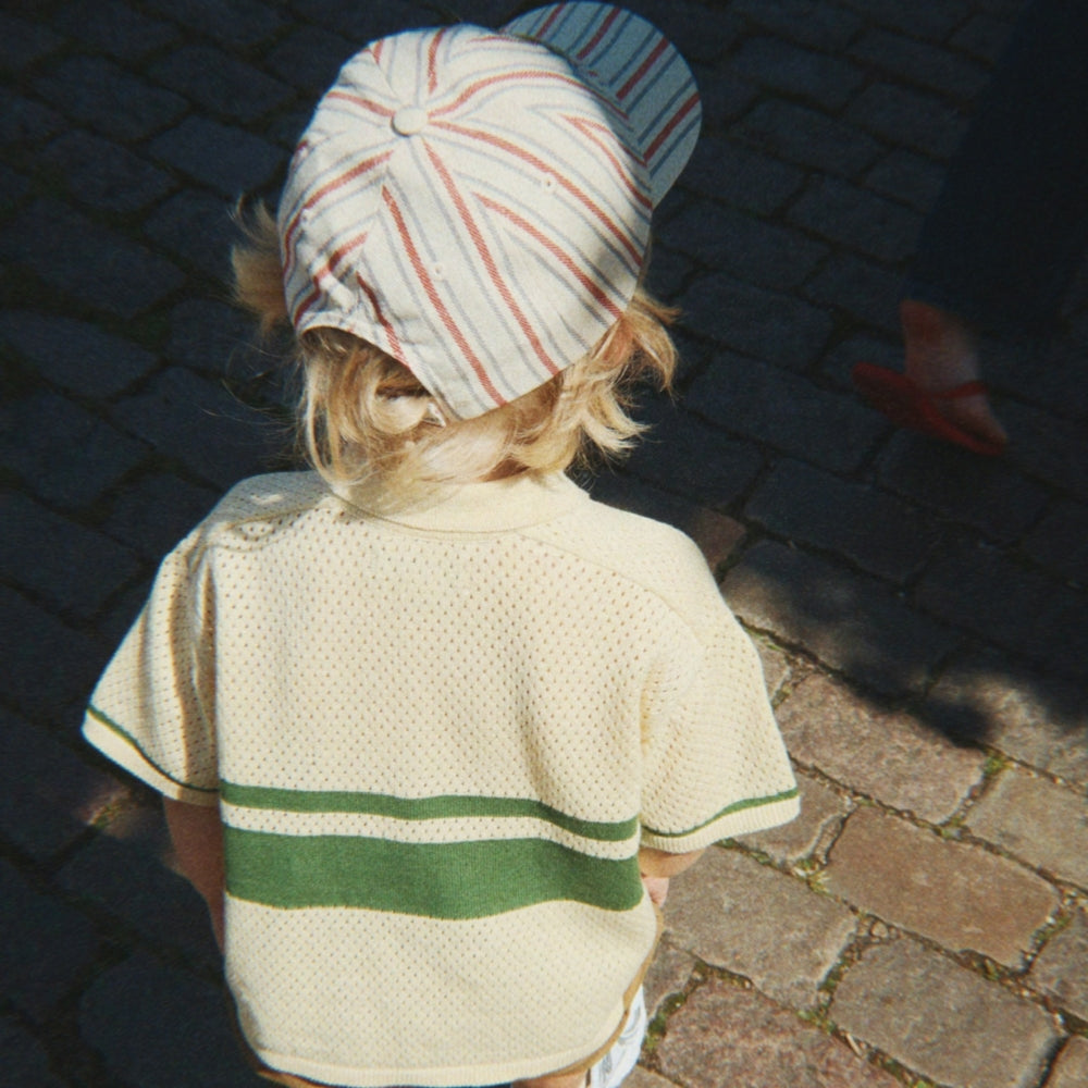 Diabild