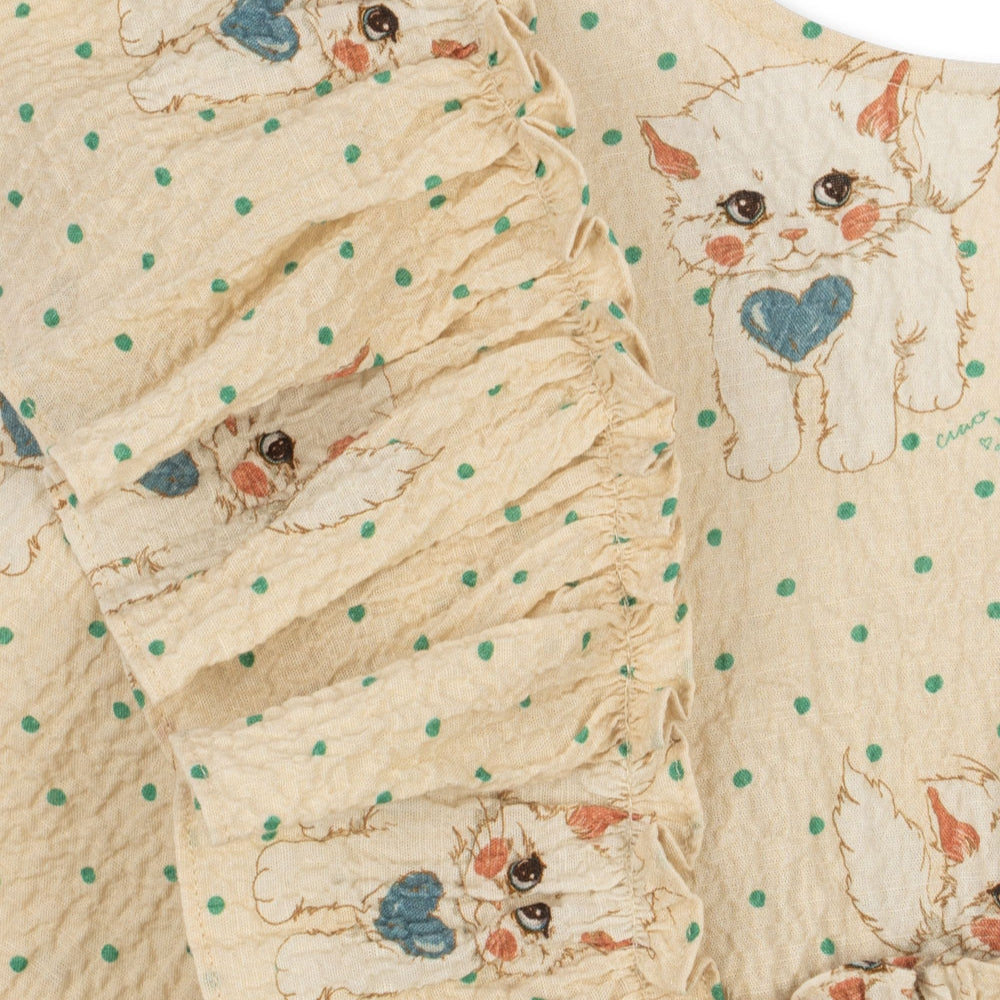 a262b95145535408809f947f244475dc