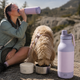 Asobu Thermoflasche mit Hundenäpfen Buddy Pastellrosa 1 L