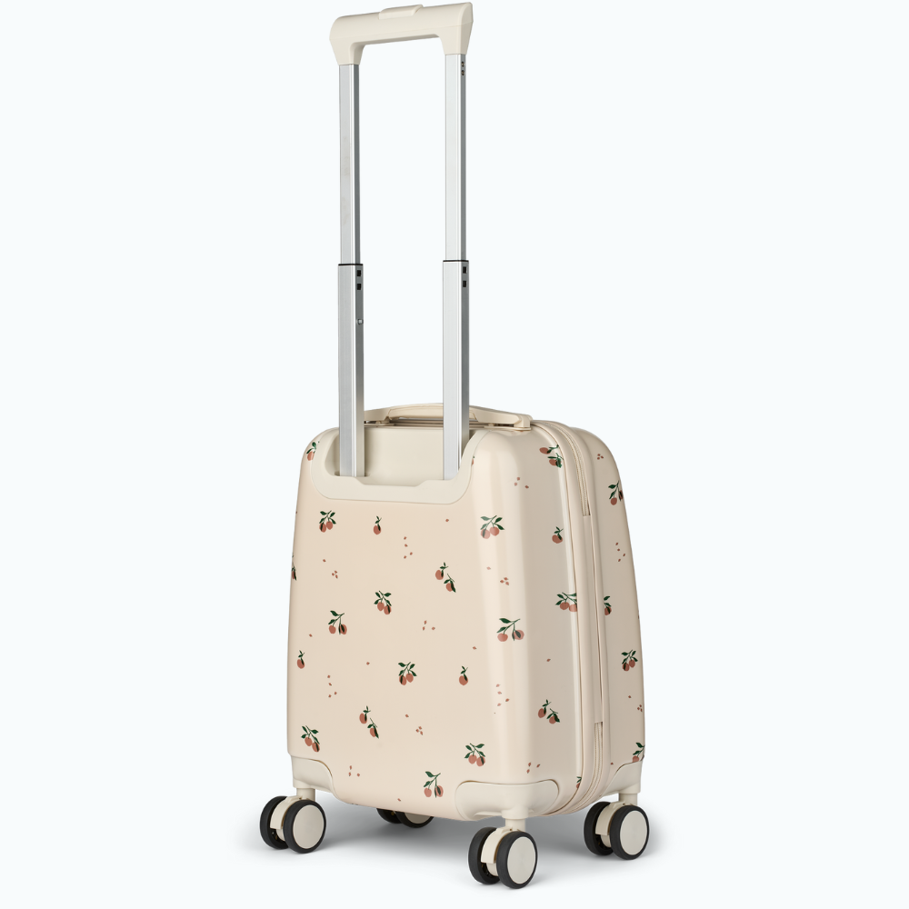 4810afd37e3895fd3e35a5e6e0c6dba6