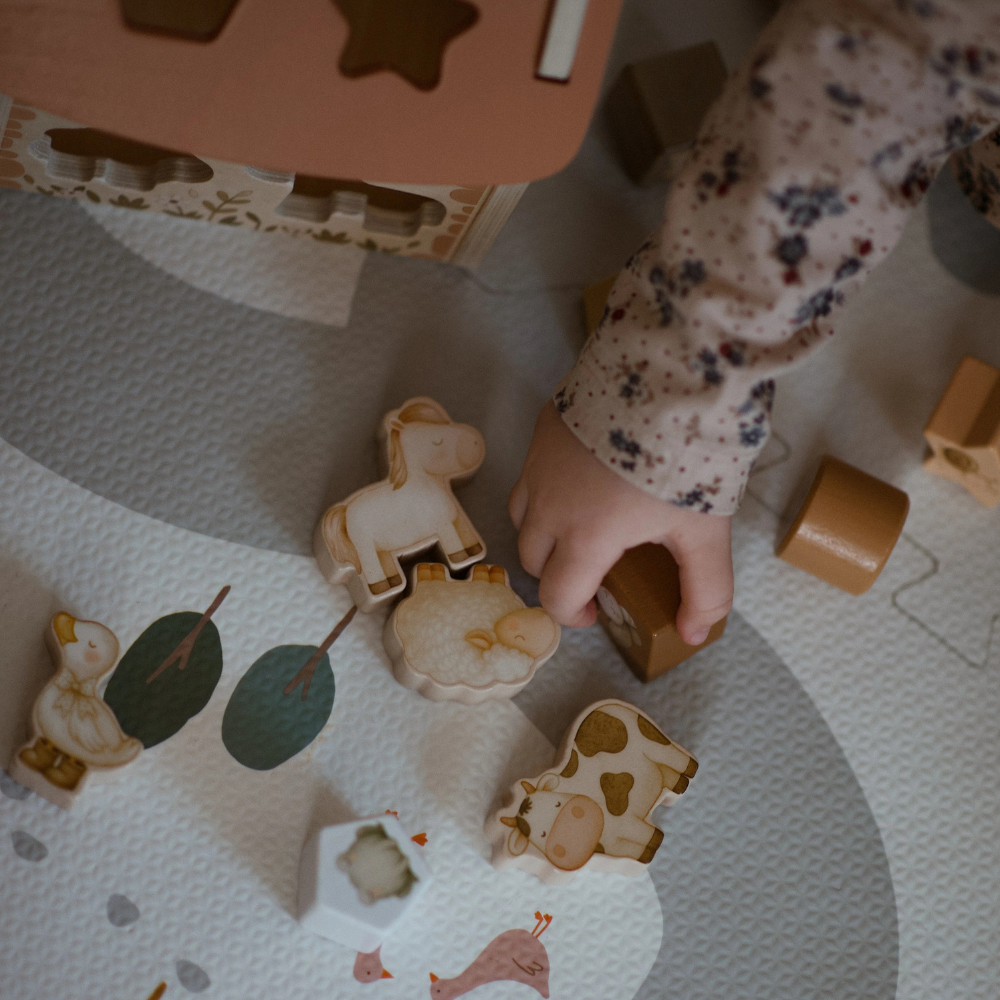 8138e66b67922a26031953627900ed73