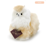 1b275d2a82e9fbdd5cb7a14e48dd09a5