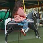 Diabild