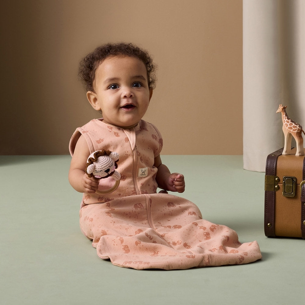 5fe8b1564370301ced8004a57efa1454