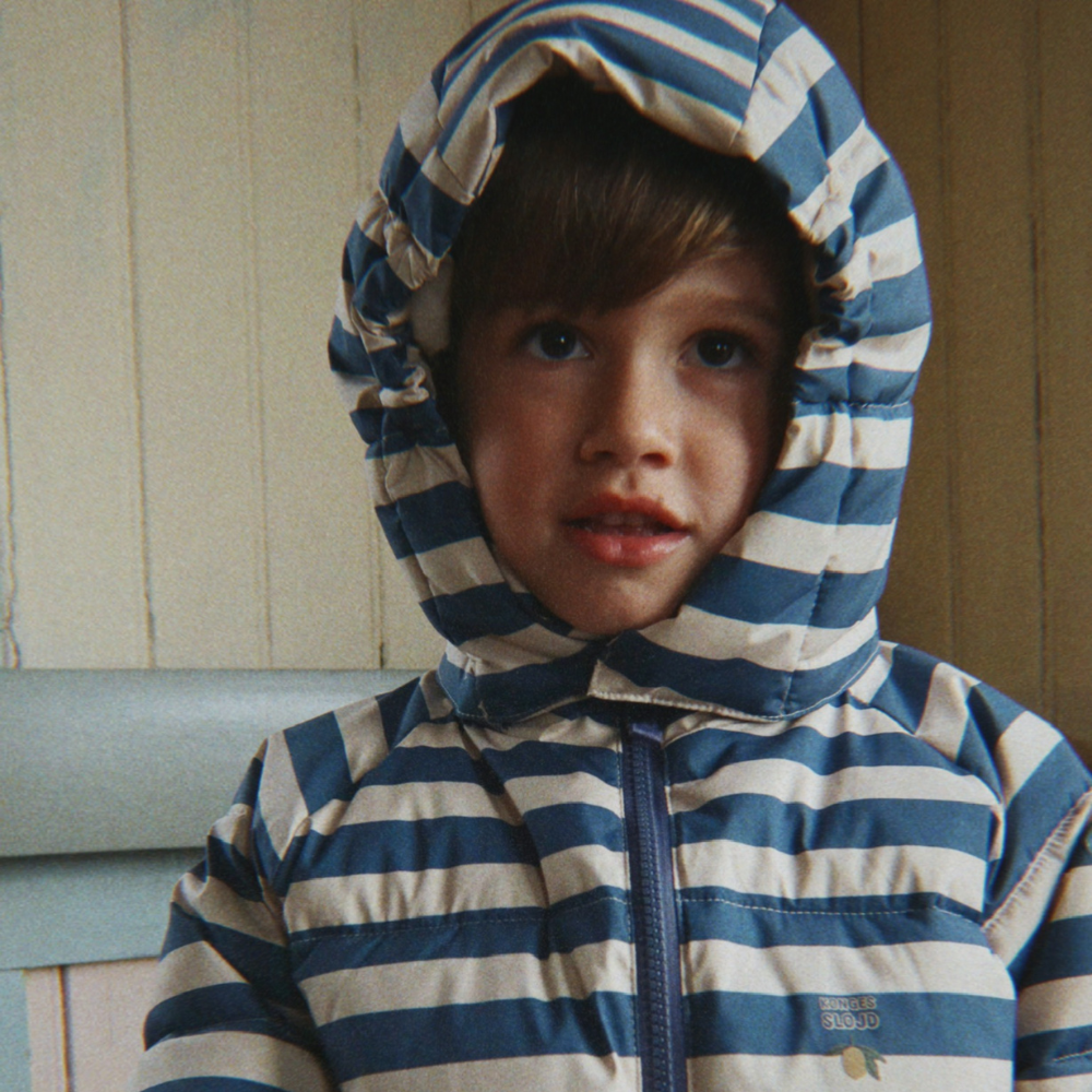 Diabild